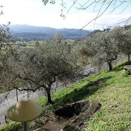 Colline D'oro Feriehus Fivizzano