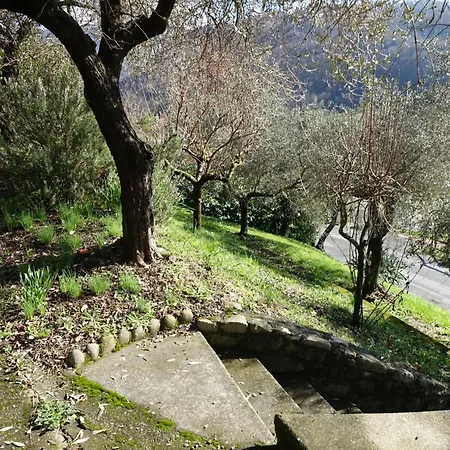 Colline D'oro * Fivizzano